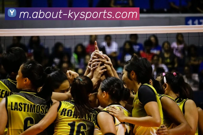 球赛投注平台生态图