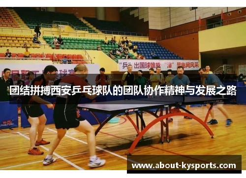 团结拼搏西安乒乓球队的团队协作精神与发展之路