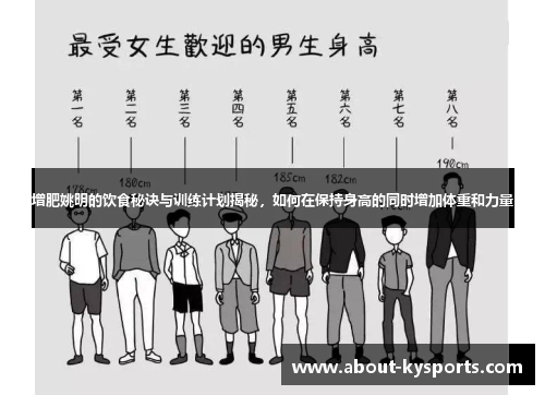 增肥姚明的饮食秘诀与训练计划揭秘，如何在保持身高的同时增加体重和力量